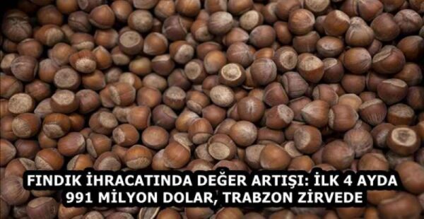 FINDIK İHRACATINDA DEĞER ARTIŞI: İLK 4 AYDA 991 MİLYON DOLAR, TRABZON ZİRVEDE