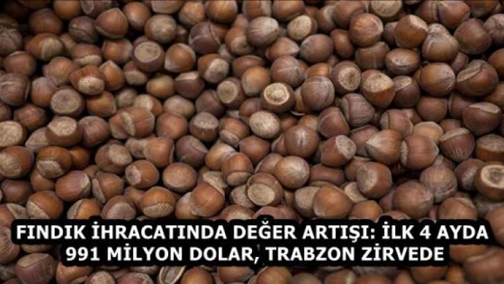 FINDIK İHRACATINDA DEĞER ARTIŞI: İLK 4 AYDA 991 MİLYON DOLAR, TRABZON ZİRVEDE