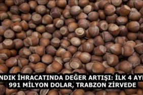 findik_ihracatinda_deger_artisi_ilk_4_ayda_991_milyon_dolar_trabzon_zirvede_h58338_0954f