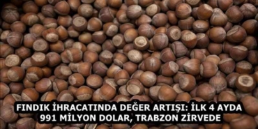 findik_ihracatinda_deger_artisi_ilk_4_ayda_991_milyon_dolar_trabzon_zirvede_h58338_0954f