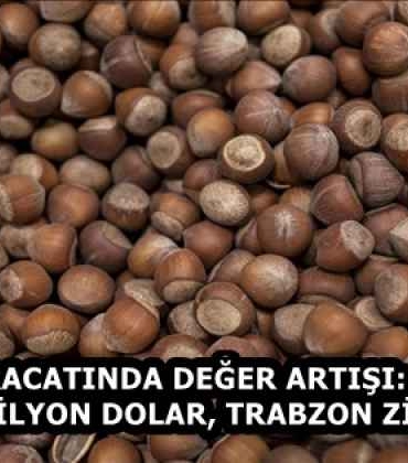 findik_ihracatinda_deger_artisi_ilk_4_ayda_991_milyon_dolar_trabzon_zirvede_h58338_0954f