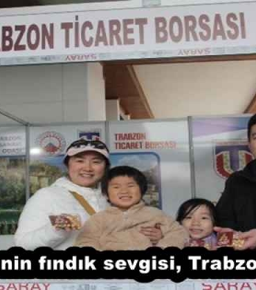 japon_ailenin_findik_sevgisitrabzon_meragi_h57994_a4780