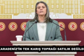karadenizin_tek_karis_topragi_satilik_degildir_h58030_db9a8