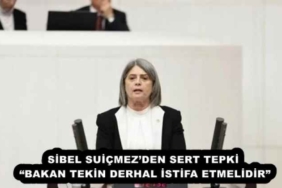 sibel_suicmezden_sert_tepki_bakan_tekin_derhal_istifa_etmelidir_h58099_854bc