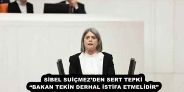 sibel_suicmezden_sert_tepki_bakan_tekin_derhal_istifa_etmelidir_h58099_854bc