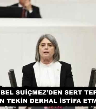 sibel_suicmezden_sert_tepki_bakan_tekin_derhal_istifa_etmelidir_h58099_854bc