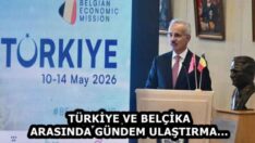 TÜRKİYE VE BELÇİKA ARASINDA GÜNDEM ULAŞTIRMA…