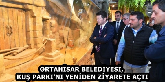 06e0d86e-cf5f-4960-a46d-7c5cc737b121