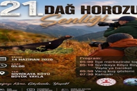 0754c160-9677-41af-af65-54dd535fd8d1