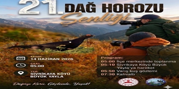 0754c160-9677-41af-af65-54dd535fd8d1