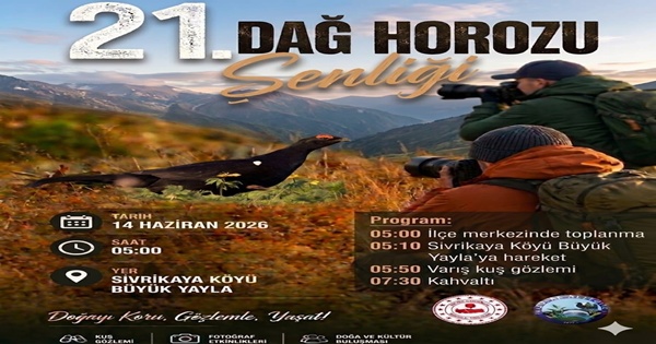 0754c160-9677-41af-af65-54dd535fd8d1