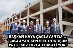 23a3d71a-585f-4559-b162-02e771a1650f