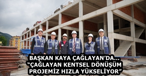 23a3d71a-585f-4559-b162-02e771a1650f
