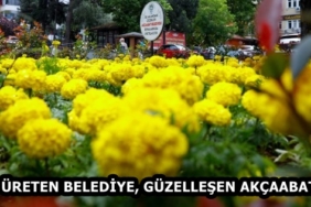 28f65ecb-1e08-4adb-a939-65caf7cc6696
