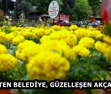 28f65ecb-1e08-4adb-a939-65caf7cc6696