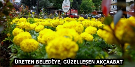 28f65ecb-1e08-4adb-a939-65caf7cc6696