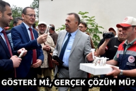 49fdd8bd-c9f2-449c-a4be-79373e0fc0a8