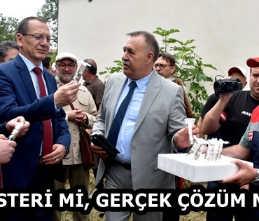 49fdd8bd-c9f2-449c-a4be-79373e0fc0a8
