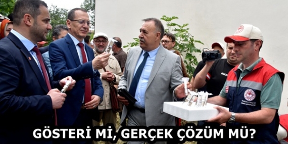 49fdd8bd-c9f2-449c-a4be-79373e0fc0a8