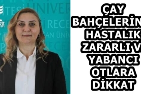 58f5a099-96f6-4d0d-ae5a-31f0cfe70304
