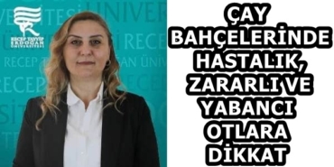58f5a099-96f6-4d0d-ae5a-31f0cfe70304