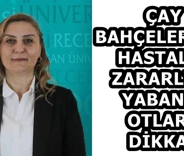 58f5a099-96f6-4d0d-ae5a-31f0cfe70304