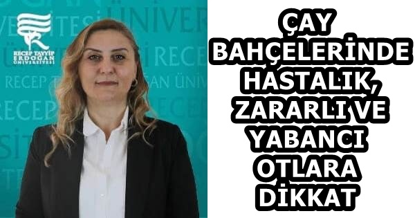 58f5a099-96f6-4d0d-ae5a-31f0cfe70304