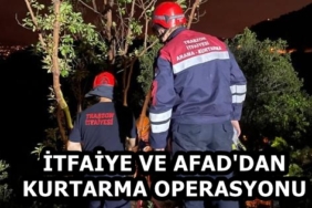7d2c8b69-5783-440f-b9c7-17b3c05c84e1