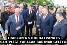 7d3b6ff8-2b3b-4b0e-8aa9-9539e396e41c