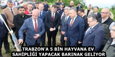 7d3b6ff8-2b3b-4b0e-8aa9-9539e396e41c