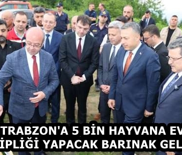 7d3b6ff8-2b3b-4b0e-8aa9-9539e396e41c
