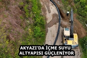 8ec66403-7f31-4084-9150-57840bedf679