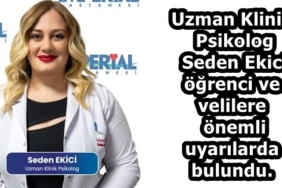 Seden Ekici1