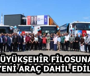 beb8da31-b144-4d65-ad43-f3913d41e37f