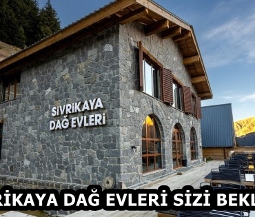 e0c2e997-e63b-447d-a50d-14253e425ab6