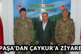 232aba31-82c0-4f8b-b505-155d9a853056
