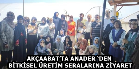 2c9f1d1d-484e-4bf1-ba2a-7a18390bbf8b