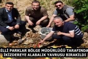 896745d8-d666-458c-92c7-3475d8fe92c6