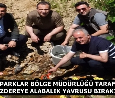896745d8-d666-458c-92c7-3475d8fe92c6