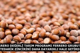 Fındık_153301193