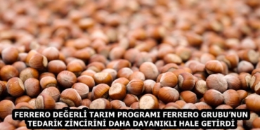 Fındık_153301193