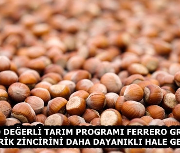 Fındık_153301193