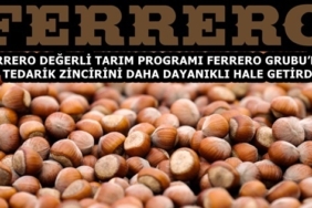 Fındık_153301193
