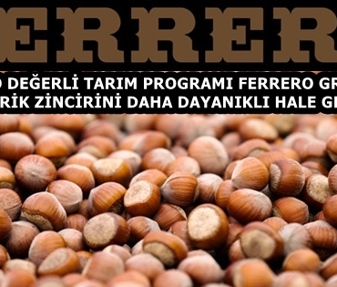 Fındık_153301193