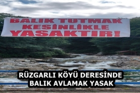 dc182526-f486-4d88-b1fb-4f3780e0f678