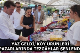 e6f565e7-7aed-4de9-9ed8-ac98152a3350