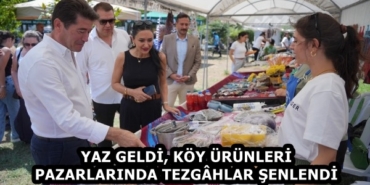 e6f565e7-7aed-4de9-9ed8-ac98152a3350