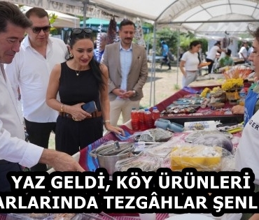 e6f565e7-7aed-4de9-9ed8-ac98152a3350