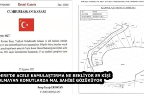124f21bd-22b7-4df5-91e2-ff6edb42ba47