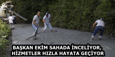 498f30c5-8db3-433f-b882-655143043220
